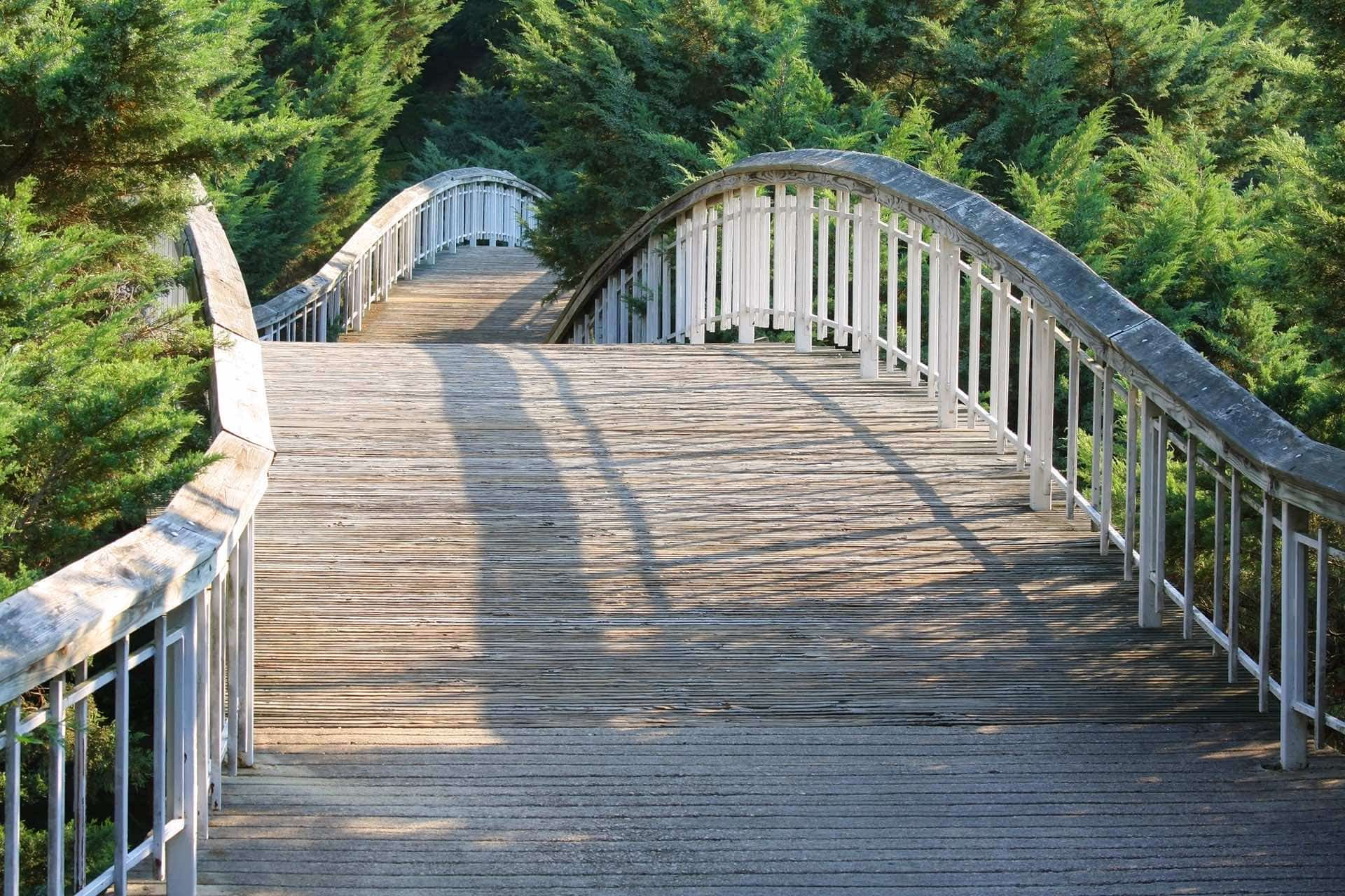 view of wide bridge walkway through woods